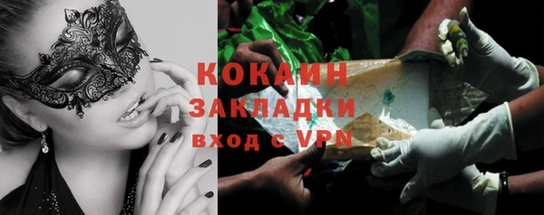 индика Абаза