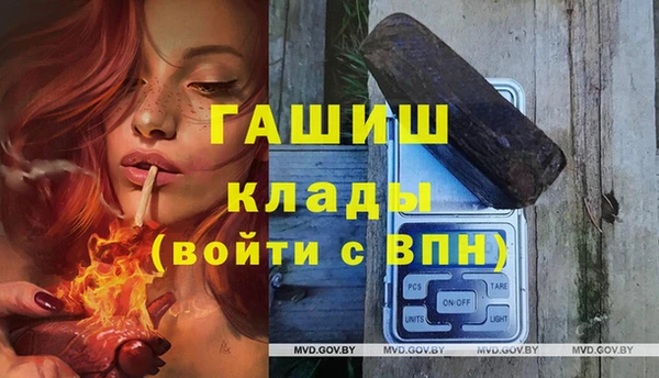 гидра Слюдянка