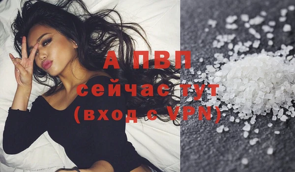 гидра Слюдянка