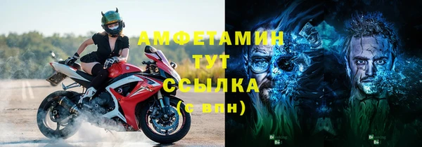 индика Абаза