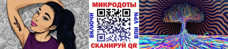 Псилоцибиновые грибы Psilocybine cubensis Приморско-Ахтарск