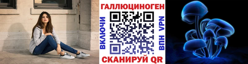 Галлюциногенные грибы мицелий  Приморско-Ахтарск 