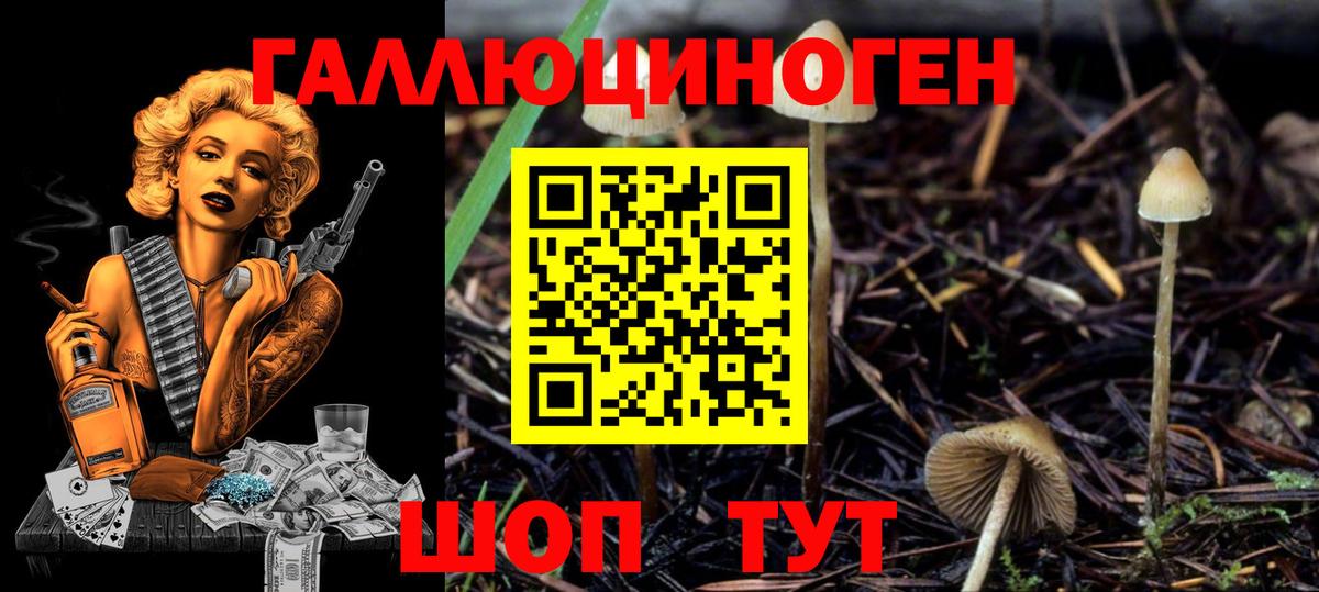 Псилоцибиновые грибы Magic Shrooms  Вход с VPN  Приморско-Ахтарск 